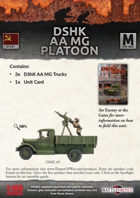 DShK AA MG Platoon